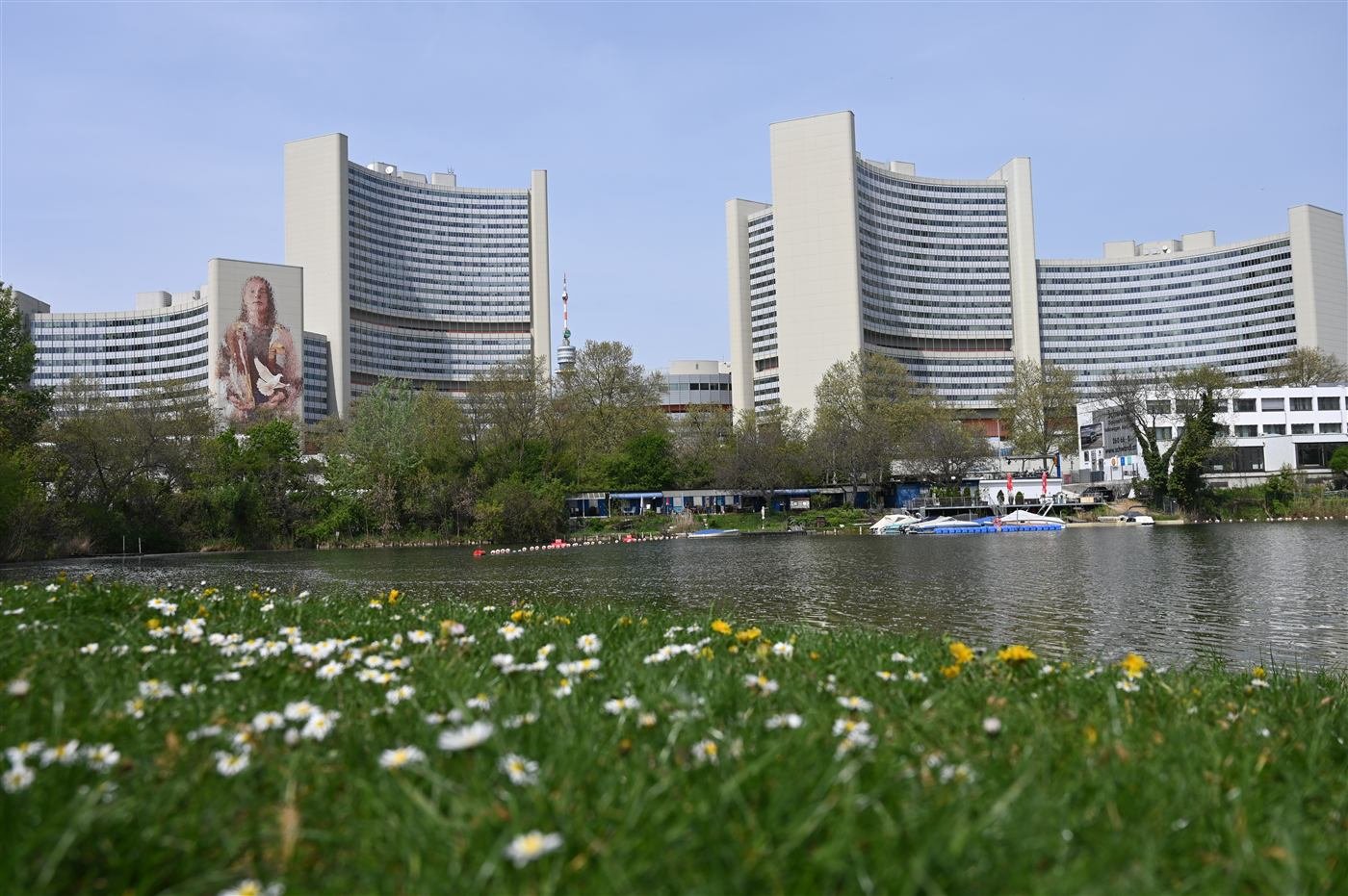 The Vienna International Centre seen across the Alte Donau, with wildflowers in the foreground